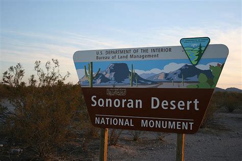 Sonoran Desert National Monument National Border National Park A