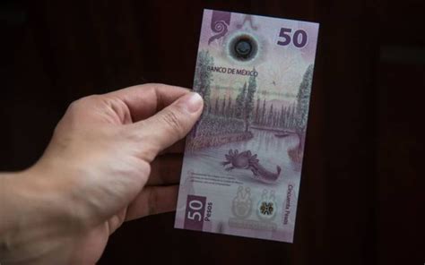 Cuáles billetes mexicanos valen 5 millones de pesos El Sol de