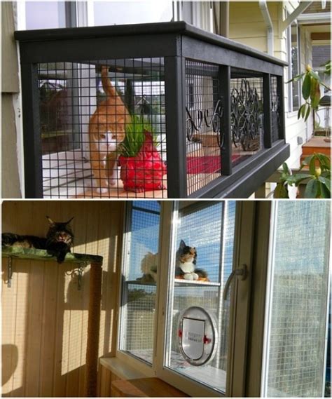 «Катио»: 7 основных мест организации прогулок для кота на свежем воздухе