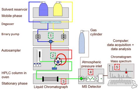 Hplc Chromatogram Analysis