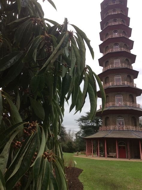 Pin By Jack Ormerod On Kew Photos Leaning Tower Of Pisa Leaning