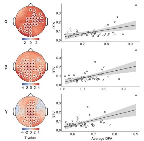 Figure 1 From Critical Dynamics In Spontaneous Resting State