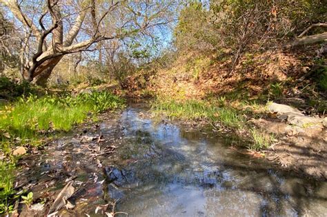 Gaviota (Las Cruces Hot Springs) - Hot Springs in California - HOT ...