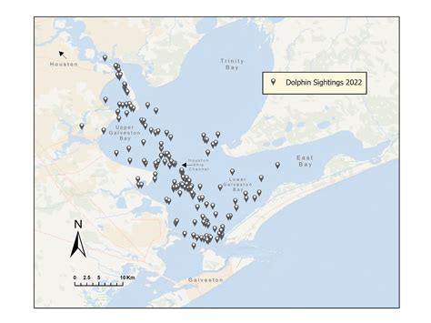 January 2023 Newsletter - Galveston Bay Dolphin Research Program