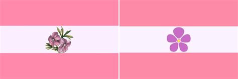 Sapphic Vs Lesbian Whats The Difference