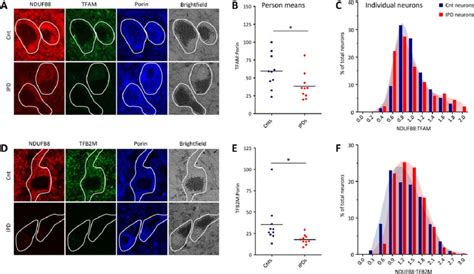 Abundance Of Mtdna Associated Tfam And Tfb M In Patient And Control