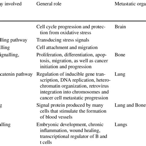 Genes Involved In Angiogenesisproliferation Download Scientific Diagram