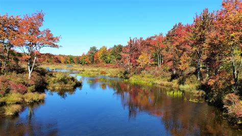 Peak Fall Foliage 2024 In Poconos Asia Fionnula