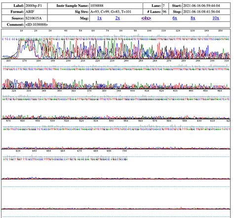 About DNA sequencing? | ResearchGate