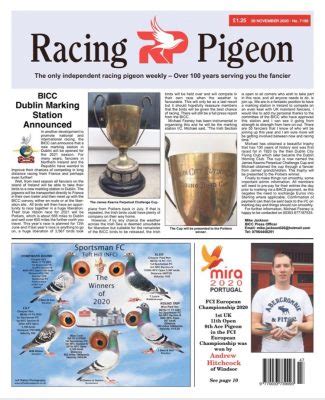 The Rp Mira Hitchcock Racing Pigeons Uk