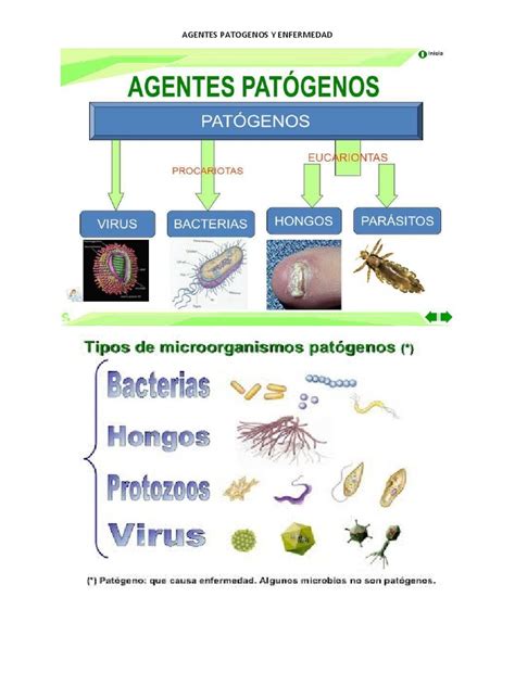 Agentes Patogenos Y Enfermedad Pdf Genotipo Dominancia Genética