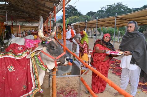 Cow Devotees Gathered To Listen To The Story In Surabhi Cow Aradhana