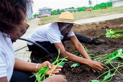 Application For The Miss Agriculture Ghana Pageant Begins Better