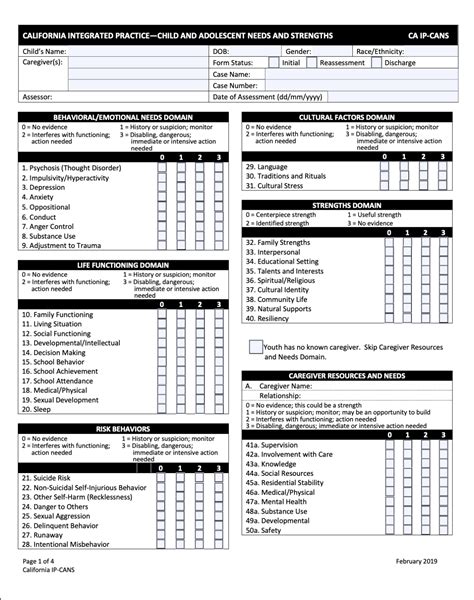 CANS Assessment Tool Child Adolescent Needs & Strengths – Yolo County