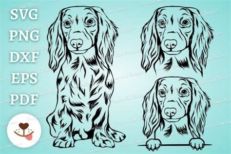 Long Haired Dachshund Dog Svg Bundle Graphic By Doggie Art Delight