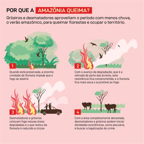 Moratória do fogo é desrespeitada e queimadas seguem em alta na