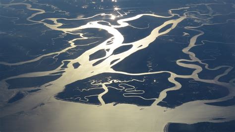 How many countries does the amazon river flow through? - Aboutriver.com