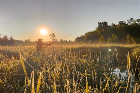 O Leary Visites guidées de pêche à la mouche