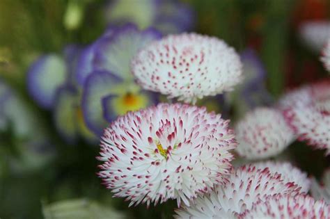 Mila Kunis Nude Controversies A Look At Media Manipulation