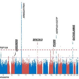 Manhattan Plot Of Manhattan Plot Of Gwas For Neovascular Amd Namd And