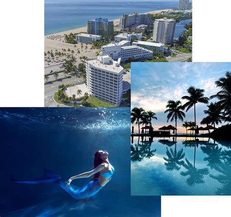 Bed & Breakfast - B Ocean Resort Fort Lauderdale Beach