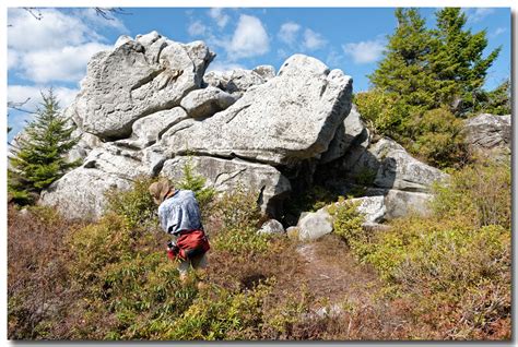 Dolly Sods