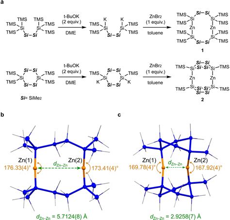 Visible Light Responsive Dinuclear Zinc Complex Consisting Of