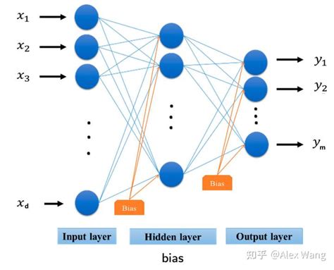 Multi Layer Perceptron