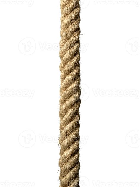 rope transparent background  png