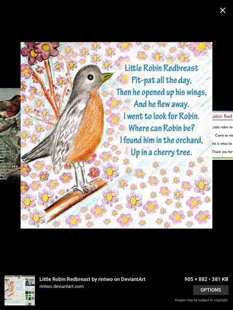 The Robin Poem Lyrics LYRICSTHOUGHT