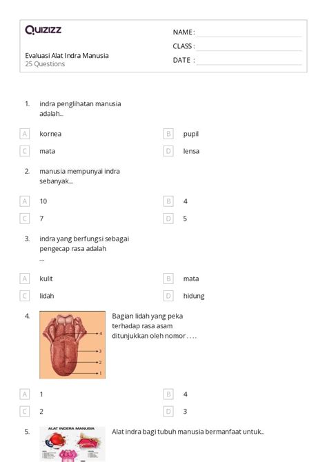 Lembar Kerja Indra Untuk Kelas Di Quizizz Gratis Dapat Dicetak