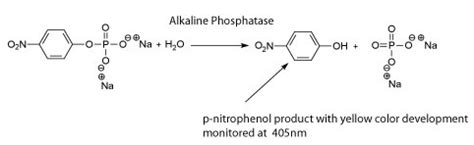 Chemical and molecular formula of creatinine (https://... | Download ...