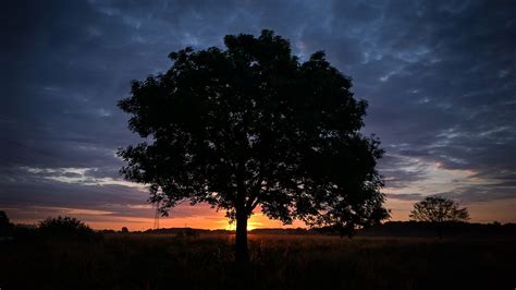 Arbre Silhouette Nature Des Photo Gratuite Sur Pixabay Pixabay