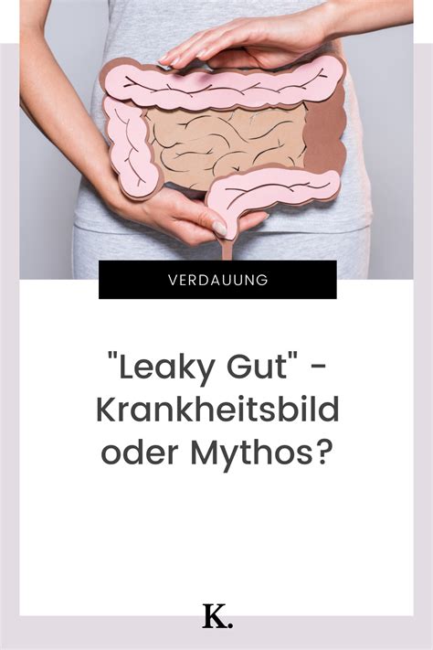 Gibts Das Leaky Gut Syndrom Wirklich Karoline Bachmann