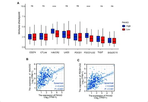 A Differential Expression Of Immune Checkpoint Relevant Genes In