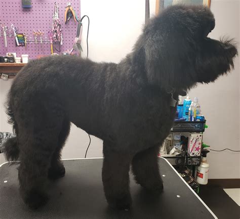 The Pet Corral | Sierra Vista AZ