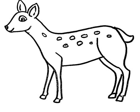 Coloriage Biche Imprimer Sur Coloriageenfant