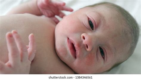 Baby Atopic Dermatitis Getting Cream Put Stock Photo 1782039212