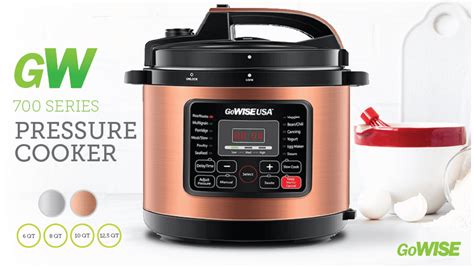 Top 10 Best Electric Pressure Cookers In 2021 All Stuffs Guide