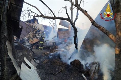 Incendio Distrugge Capannone Di Un Azienda Agricola