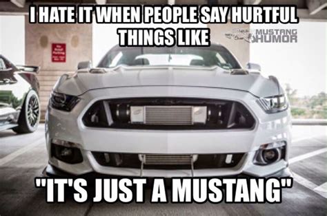 Why Would Anyone Say Such A Thing Mustang Cars Funny Car Memes