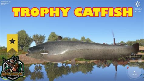 Catfish Trophy From Active Akhtuba Hotspot Russian Fishing 4 RF4