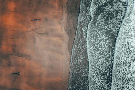 Drone Shot of People on a Beach · Free Stock Photo