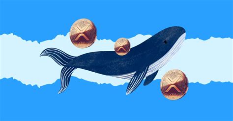 Ripple Whales Pick Rco Finance Rcof