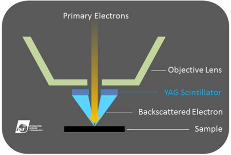 SEM BSE Try This In Case You Found No Defects In Delayered IC Samples