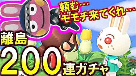 あつ森ウサギがくると興奮する世界一モモチに会いたい200連住民離島ガチャあつまれどうぶつの森 Youtube