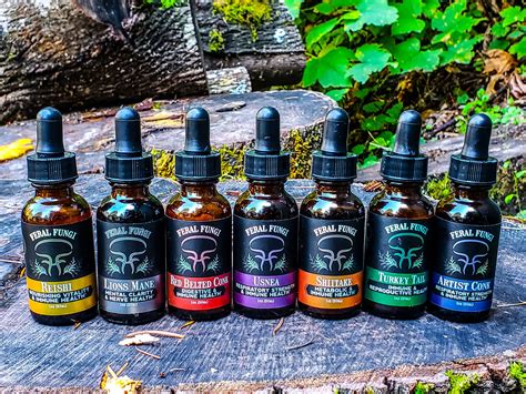 Energy – Tagged "Digestive Comfort" – Feral Fungi