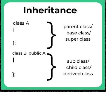 Inheritance In C Programming Language PrepInsta