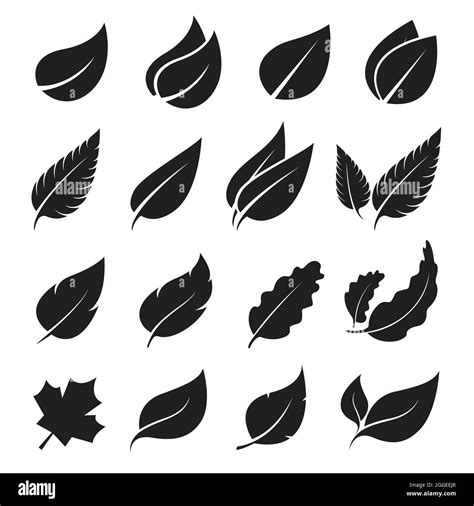 Vector Leaves Icon Set On White Background Easy Editable Layered