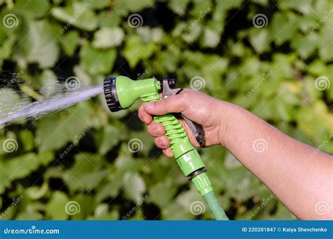 Bew Sserung Mit Einem Schlauch Durch Eine D Se Zum Spritzen Von Wasser